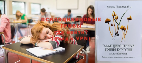 ГАЛЛЮЦИНОГЕННЫЕ ГРИБЫ Краснотурьинск