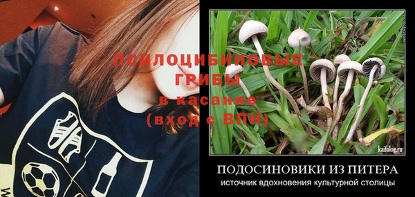 ГАЛЛЮЦИНОГЕННЫЕ ГРИБЫ Краснотурьинск